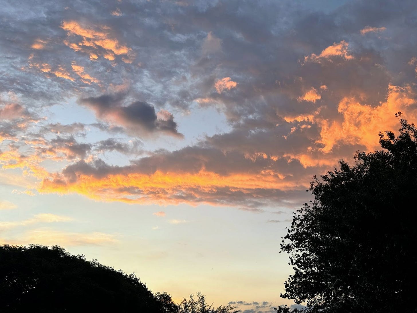 Breaking News: Mothership spotted hovering over Earth! Locals report it arrived with a golden glow, radiating warmth... and possibly good vibes. First contact is imminent. 👽🔥