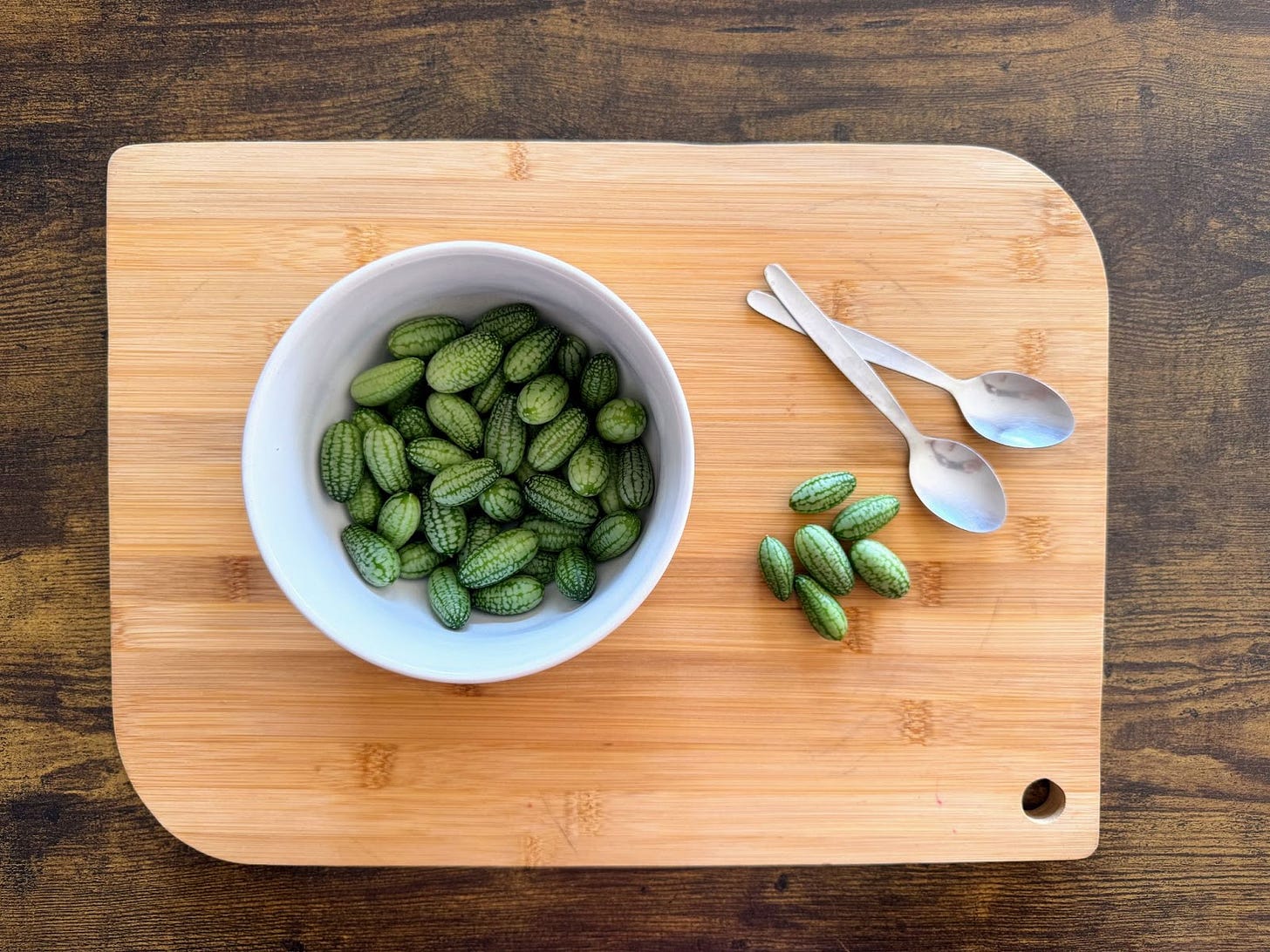 Cucamelons in context, with a couple of teaspoons for scale. They’ve become a new favourite in our home with their crunchy, slightly tart, cucumber-like flavour.