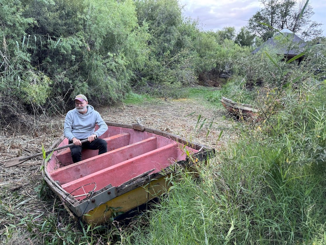 An Irish rowboat in a thicket, dry as a joke, waiting for a storm... or a story. 🍀🛶