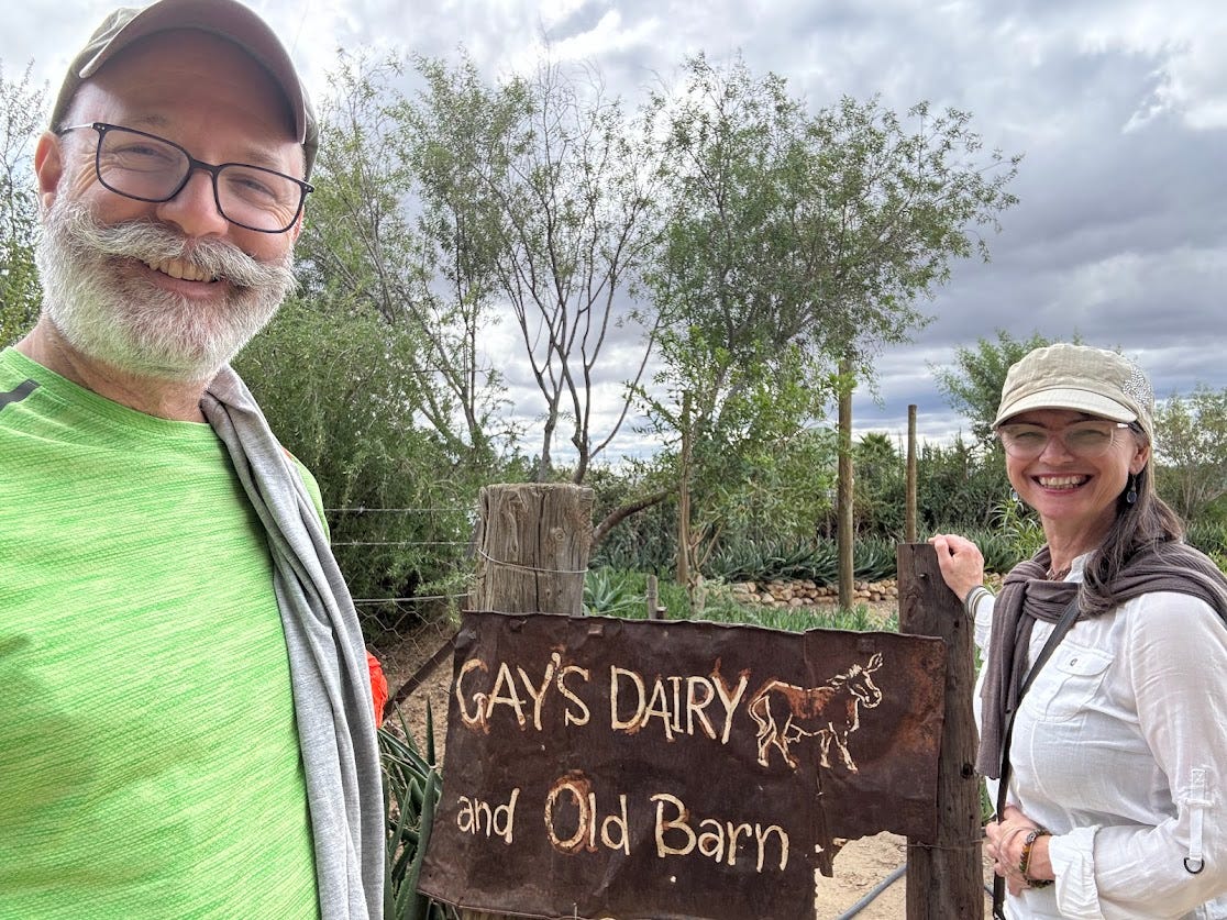 Old stories live in weathered wood and rusty nails, but the joy here is unmistakably fresh and delicious. 🐄🤎