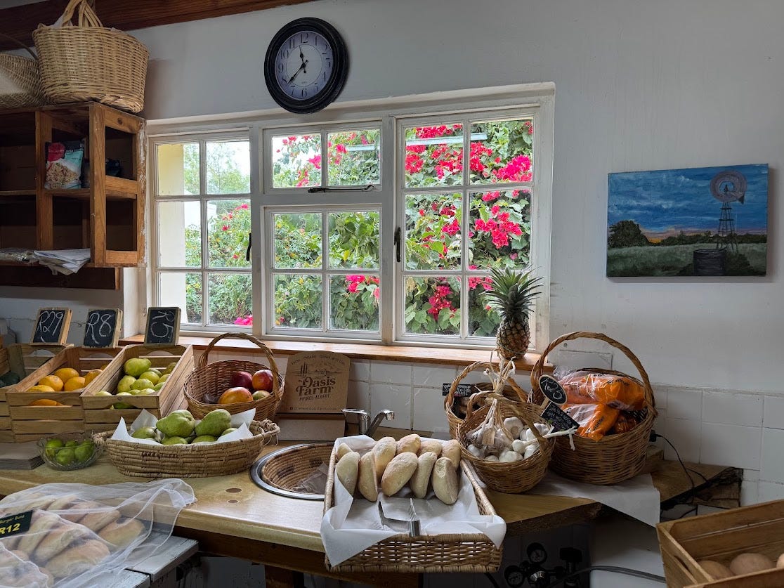 Sunlight through the window at Lazy Lizard with the scent of fruit, lemons and loaves. A corner of Prince Albert where everything belongs. 🍞🍋
