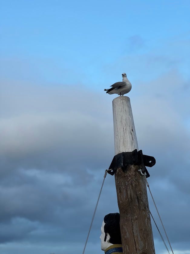 When you get to the top, the view can be grand, and the whisper of the wind may stir your soul. 🌬️🕊️