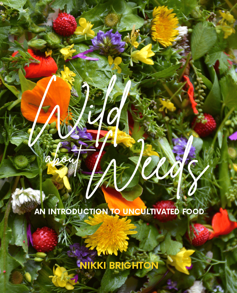 Wild about Weeds by Nikki Brighton is available from her website or from a variety of book shops across the country 🌸📚